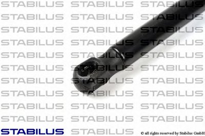 017510 STABILUS