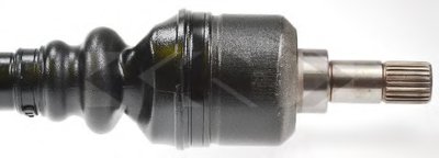 21731 SPIDAN