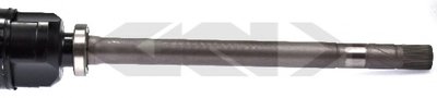 24441 SPIDAN
