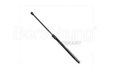 B14193 BORSEHUNG