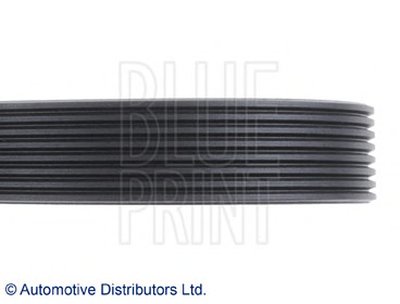 AD08R1225 BLUE PRINT
