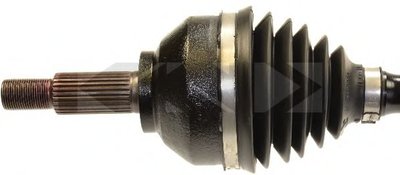 24507 SPIDAN