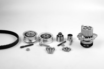 PK06621 HEPU