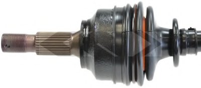 24871 SPIDAN