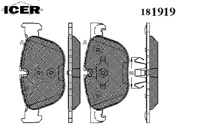 181919 ICER