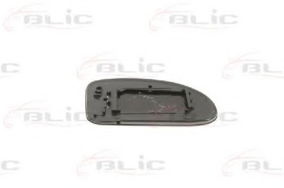6102021231398P BLIC