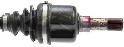 24507 SPIDAN