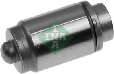 420000310 INA