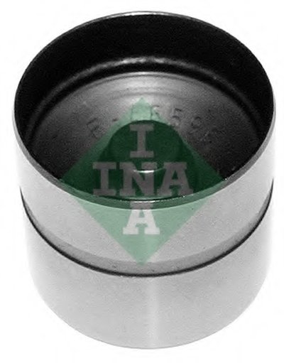 420021010 INA