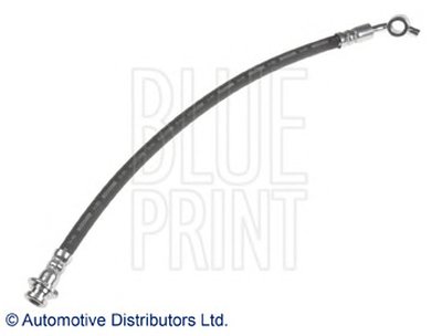 ADN153234 BLUE PRINT