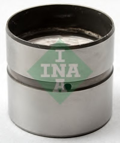 420021110 INA