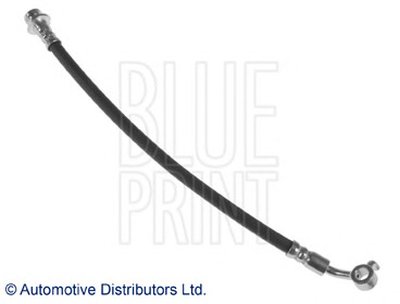ADN153235 BLUE PRINT