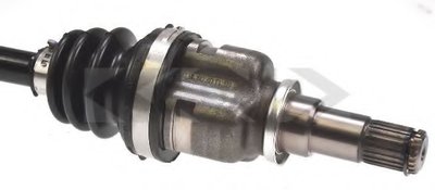 24511 SPIDAN