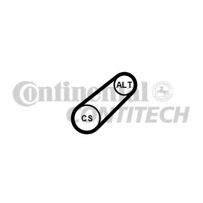 6PK701ELAST CONTITECH