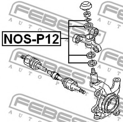 NOSP12 FEBEST