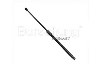 B14199 BORSEHUNG