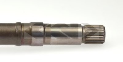 24519 SPIDAN