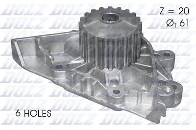 C124 DOLZ