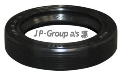 1119500300 JP Group