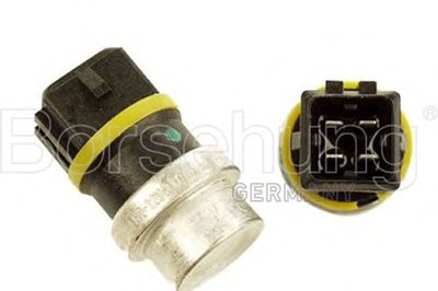 B13134 Borsehung