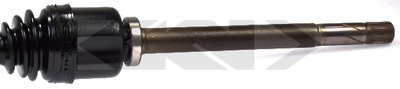 24508 SPIDAN