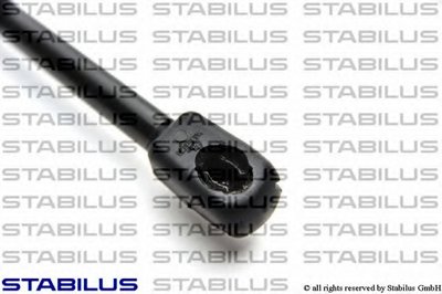 171381 STABILUS