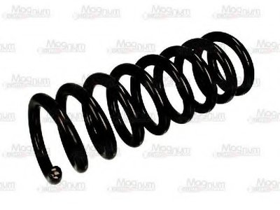 SM066MT MAGNUM TECHNOLOGY