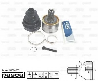 G13043PC PASCAL