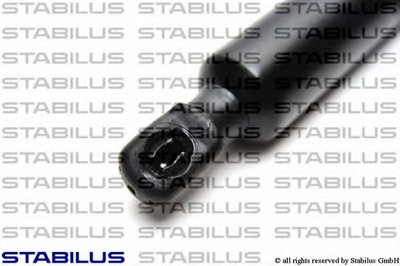 171381 STABILUS