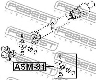 ASM81 FEBEST