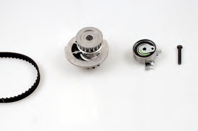 PK07910 HEPU