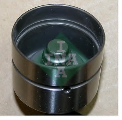 420021710 INA
