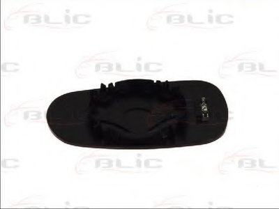 6102021223112P BLIC