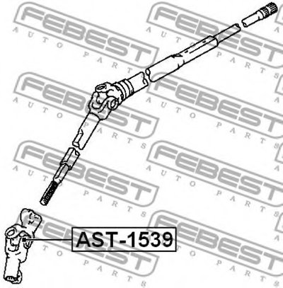 AST1539 FEBEST