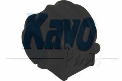 SBS4509 KAVO PARTS