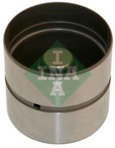 420022010 INA