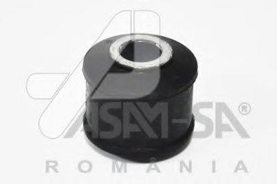 30951 ASAM