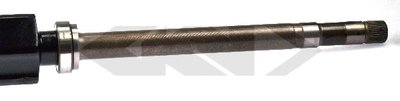 24714 SPIDAN