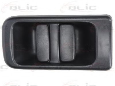 601009032410P BLIC