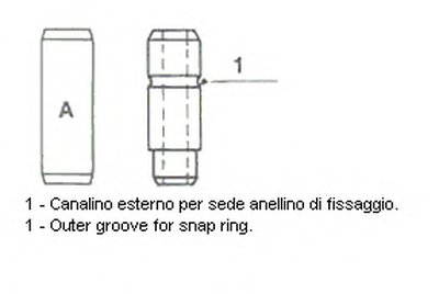 012362 METELLI