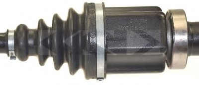 25442 SPIDAN