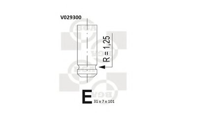 V029300 BGA