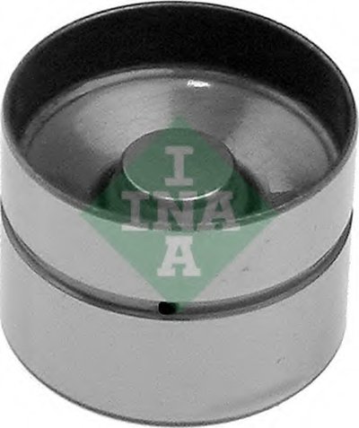 420002210 INA