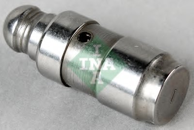 420022210 INA