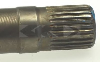 25442 SPIDAN