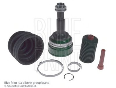 ADT38976 BLUE PRINT