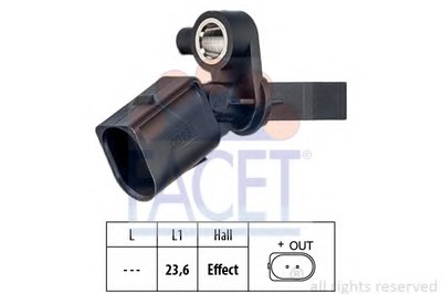210013 FACET