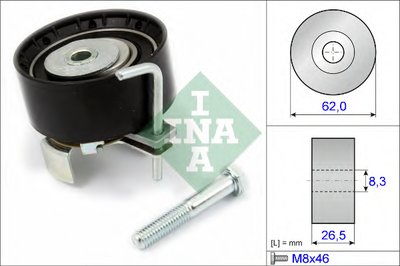531081310 INA