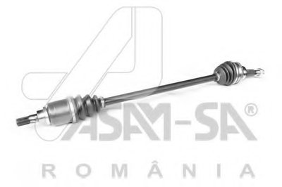 30954 ASAM