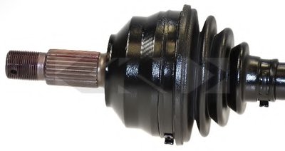 22869 SPIDAN